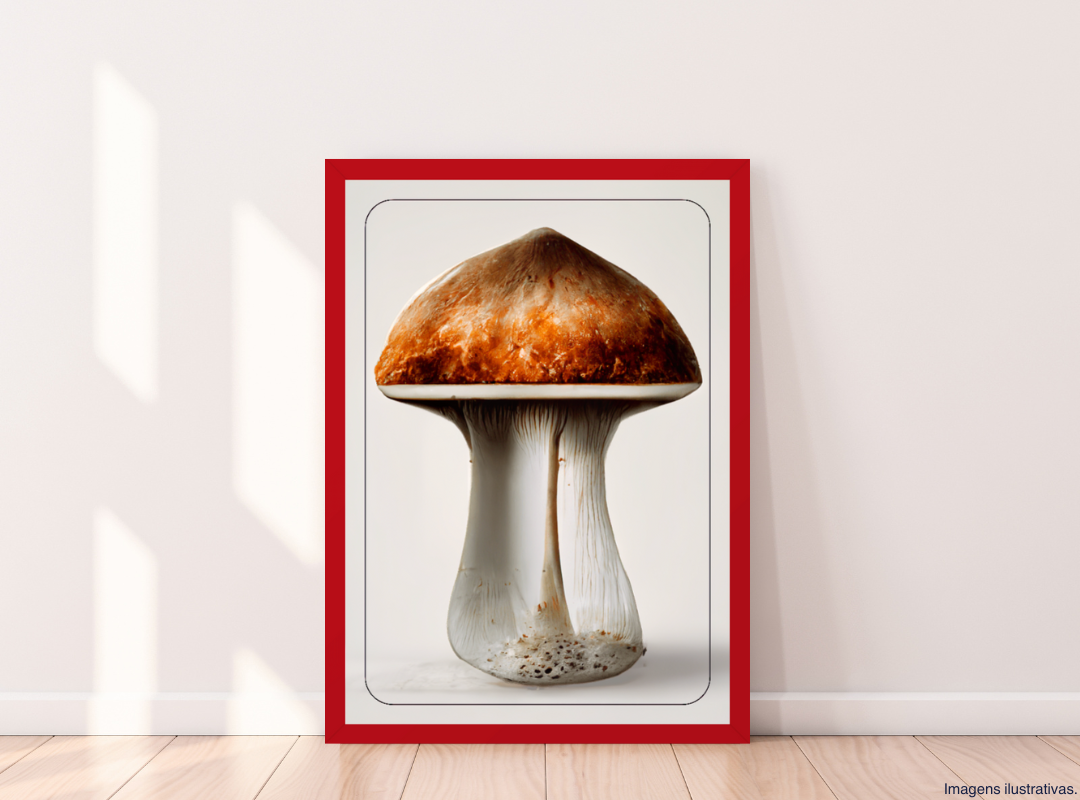 Vitral Cubensis