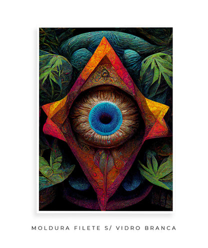 Visões Amazônicas I