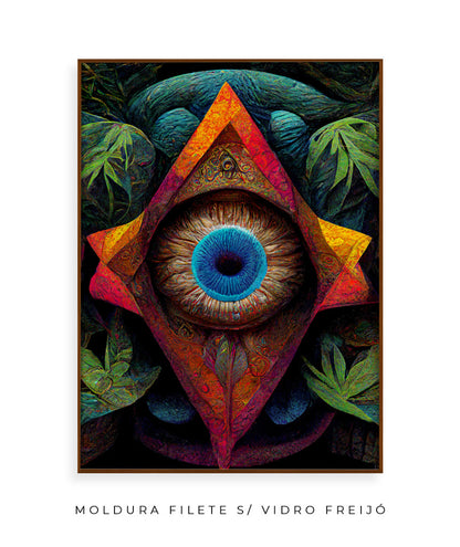 Visões Amazônicas I